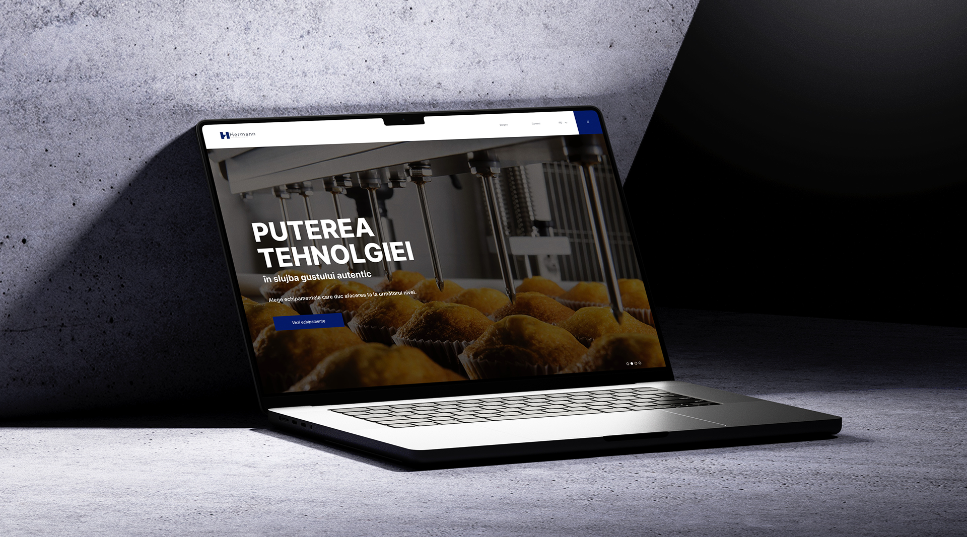 Hermann branding graphic design ui ui design user research ux ux design web design website