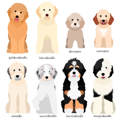 Set of Doodle dogs animal breed cartoon cute design dogs doodle dog doodles graphic design illustration