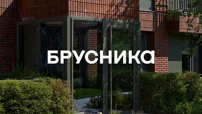 Brusnika. Artist's inspiration, engineer's precision branding graphic design logo