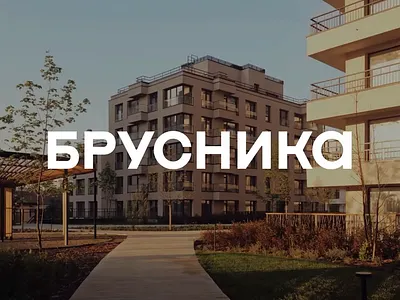 Brusnika. Artist's inspiration, engineer's precision branding graphic design logo