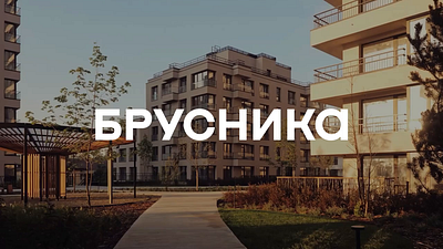 Brusnika. Artist's inspiration, engineer's precision branding graphic design logo