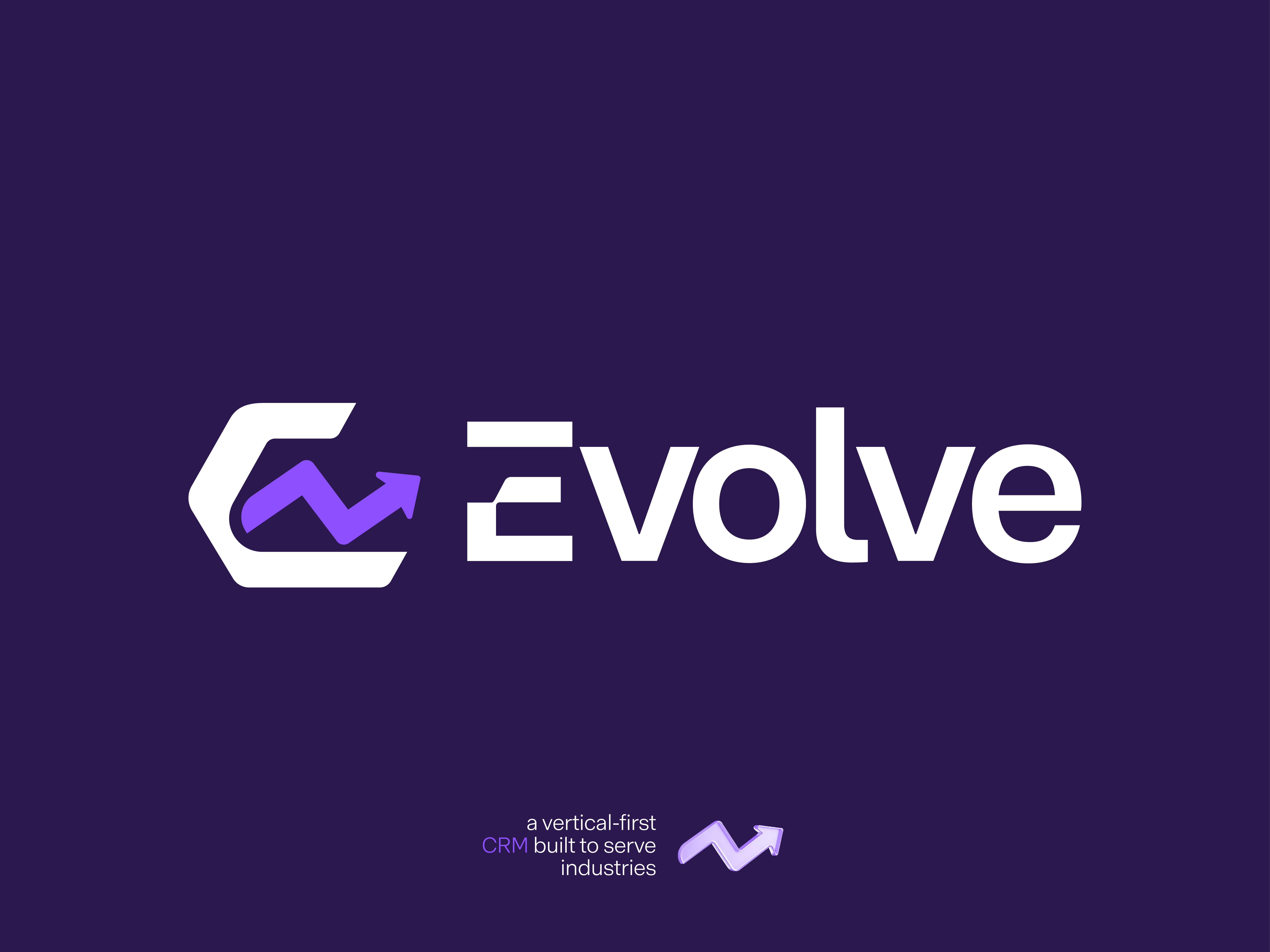 Example of Custom Typography Logo Design Package