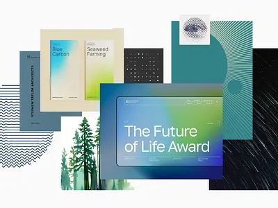 Branding Moodboard for Oregon Tech Organization branding graphic design moodboard oregon tech work in progress