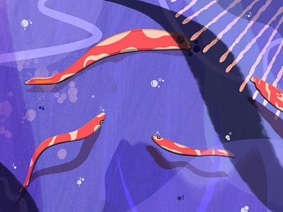 Weird Fishes abstract albumcover cartel design digitalart editorial fishes illustration musiccover nature poster texture