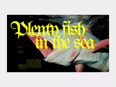 Plenty fish - Assets branding brutalism brutalist design editorial graphic design landing page minimal minimalistic motion graphics swiss swiss punk type typography ui
