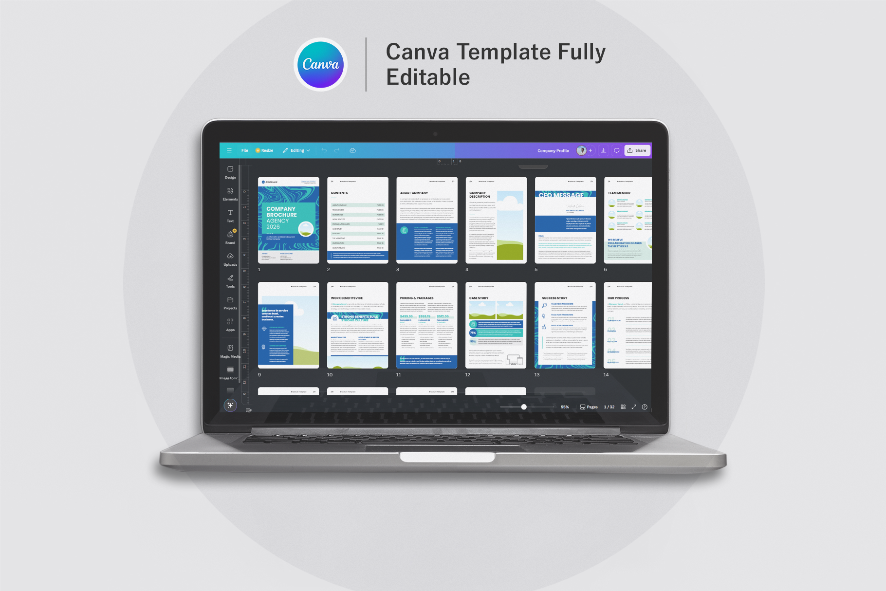 Example of Professional Brochure Template Design