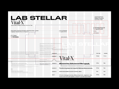 Lab Stellar | Brand Identity & Packaging Design brand brand identity brand identity design branding editorial grids guidelines lay out logo packaging typography