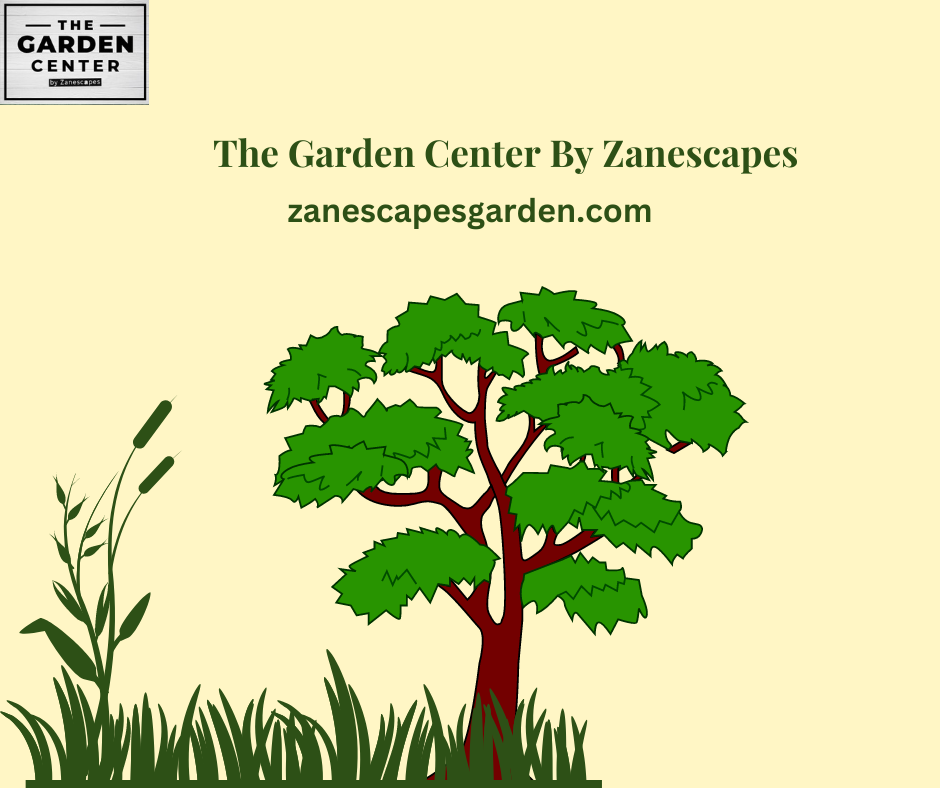 The Garden Center By Zanescapes Dribbble