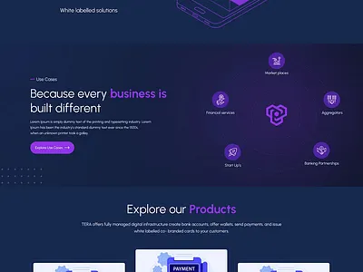 Tera branding graphic design logo motion graphics ui