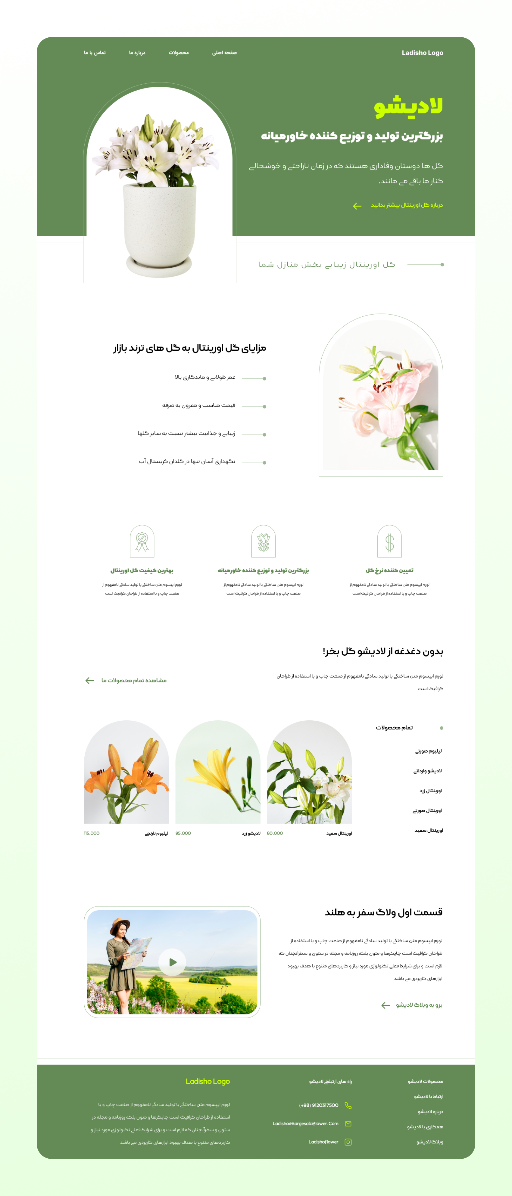 Lilium Flower Production and Distribution Website