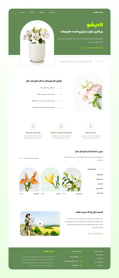 Lilium Flower Production and Distribution Website