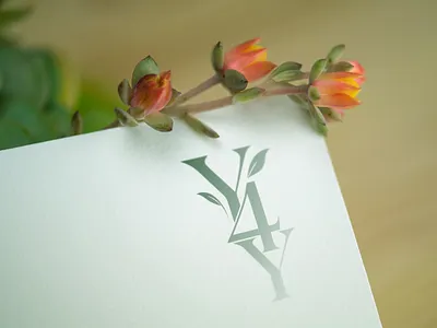 Creating Graphic design for Wellness brand 3d rendering branding design graphic design logo logo design motion graphics render visualization wellnes brand