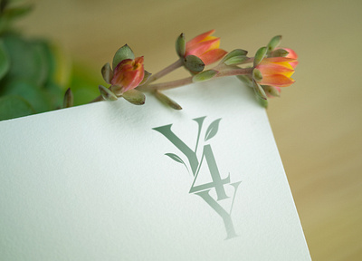 Creating Graphic design for Wellness brand 3d rendering branding design graphic design logo logo design motion graphics render visualization wellnes brand