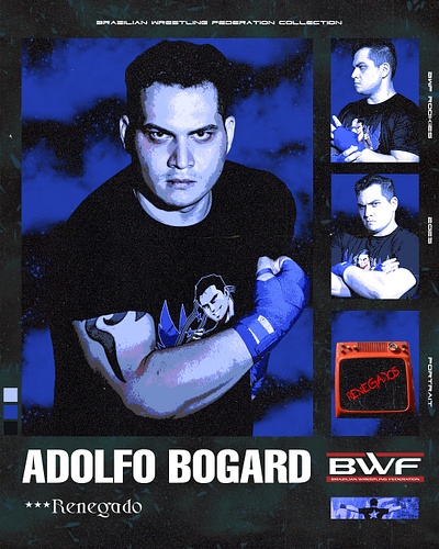 PROJETO POSTER BWF banner branding design graphic design instagram post social media