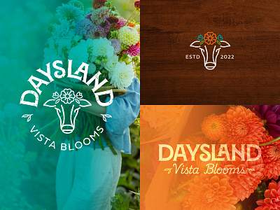 Daysland Vista Blooms bouquet branding cow custom daysland farm feminine floral flowers logo natural orange roots rustic soil teal texture typography vase vibrant