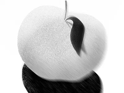 Apple design drawing illustration style