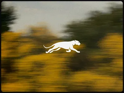 Jaguar Logo Design branding design graphic design identity illustration logo logo design ui ux vector