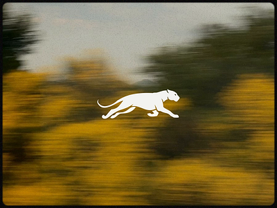 Jaguar Logo Design branding design graphic design identity illustration logo logo design ui ux vector