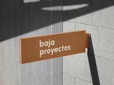 baja proyectos adobe creative cloud adobe illustrator adobe photoshop brand brand identity brand system branding branding project color design graphic design logo mockup vector