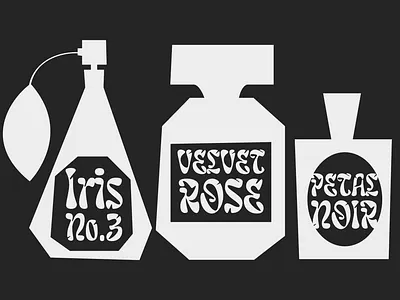 Type & Motion Sketch animation design graphic design illustration motion graphics typography