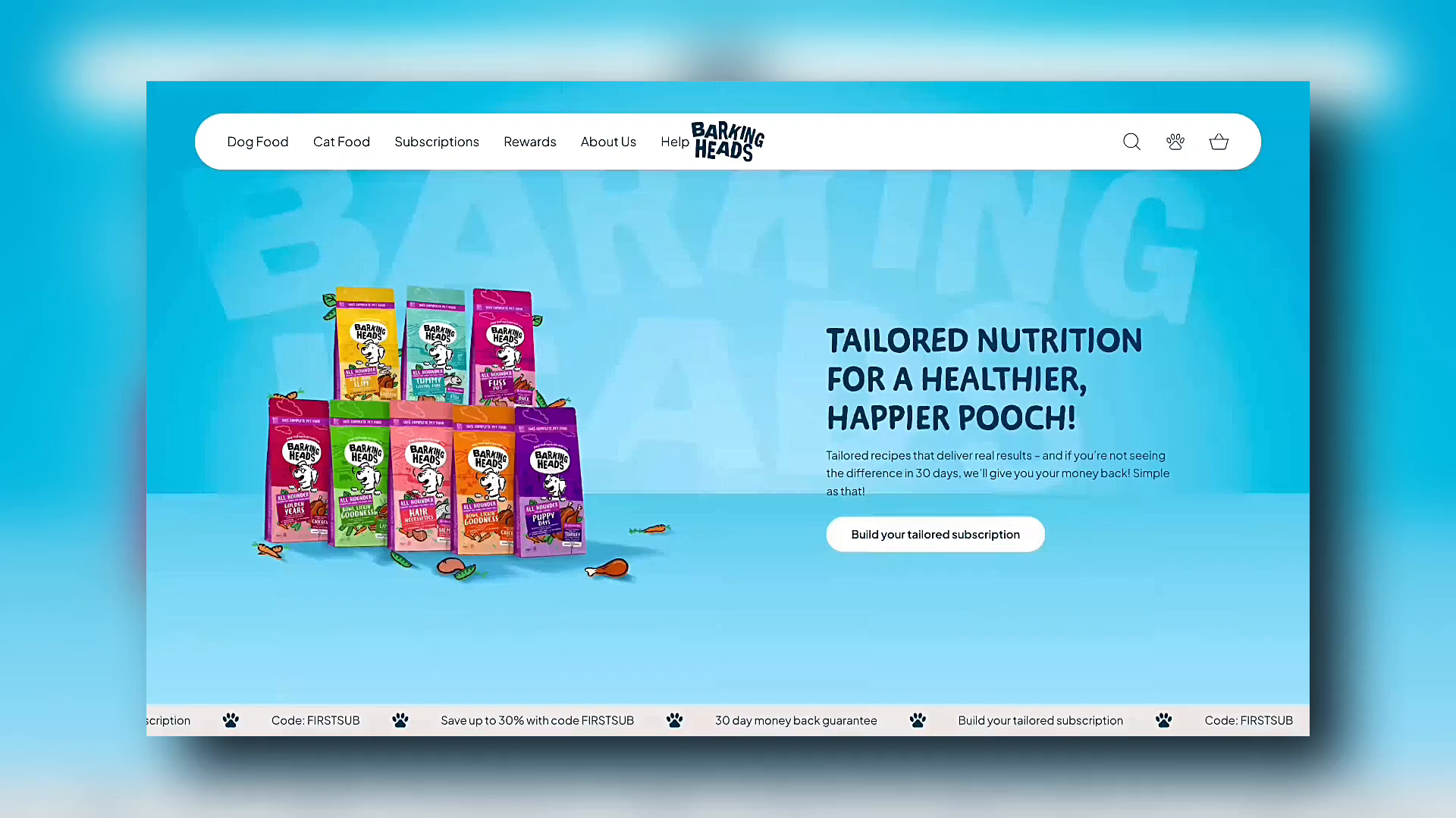 Example of Shopify Web Development 