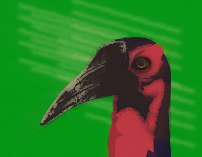 Overcooked Hornbill doodle hornbill illustration noise not ffp shunte88 vector