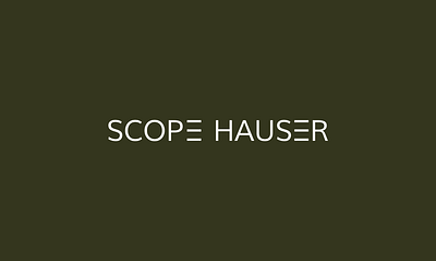 Scope Hauser Brand Guideline brand guideline branding broker graphic design logo realestate