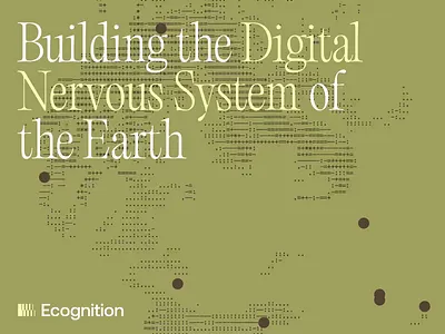 AI-powered Visual Identity ➰ ai ai branding bachoodesign branding vibecoding