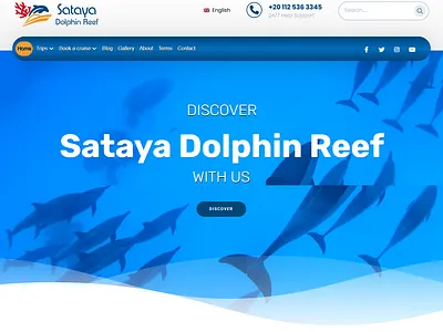 Immersive Marine Adventure Website Design branding design graphic design illustration landingpage logo ui vector webdesign webxpart