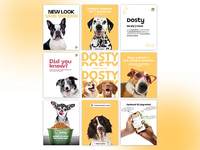 Social Media branding design graphic design instagram nonstopversatility social media ui