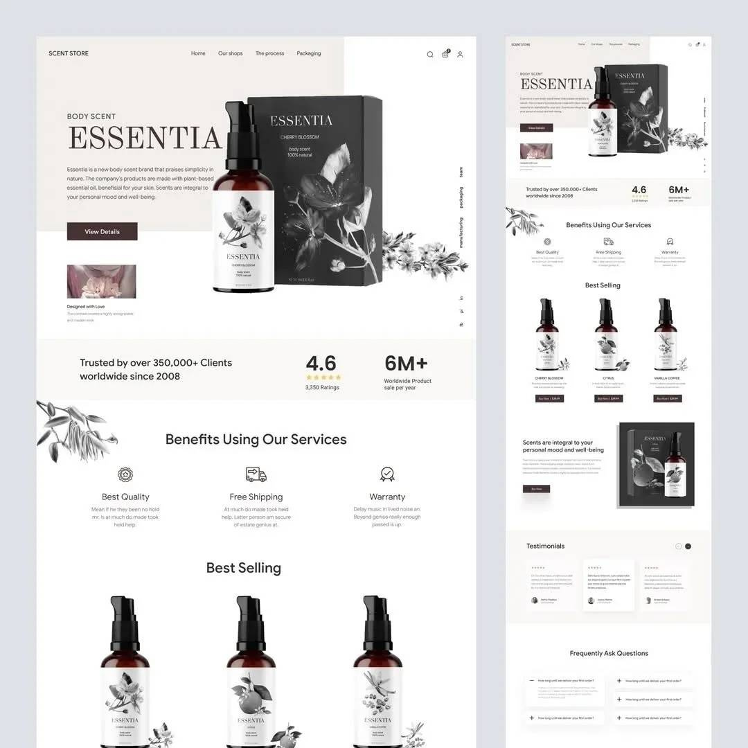 Example of Landing Page Design