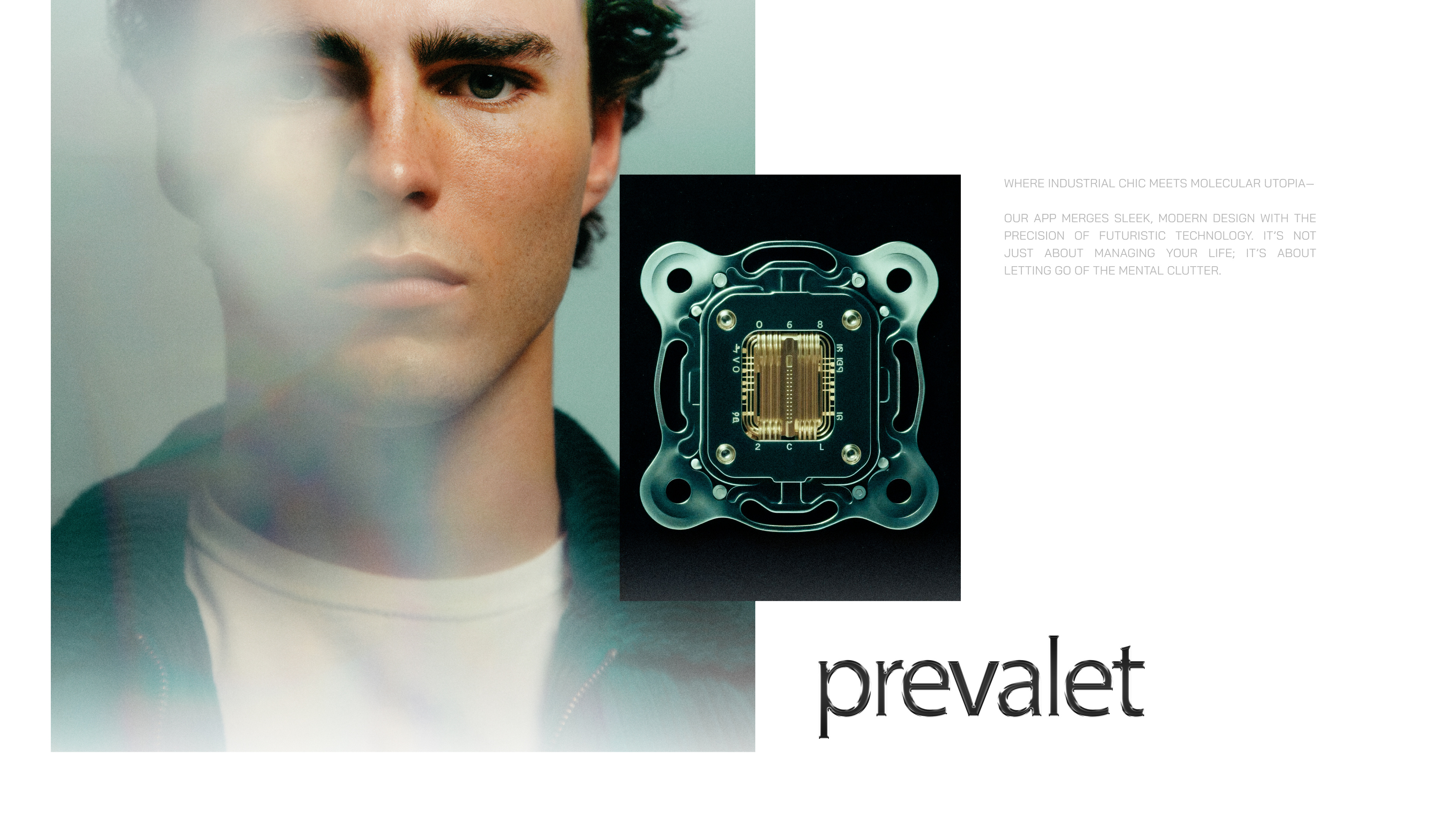 Prevalet / Brand Identity / Reminder App Branding ai app brand book brand designer brand identity branding forgot new york plan planner reminder saas san francisco schedule visual identity
