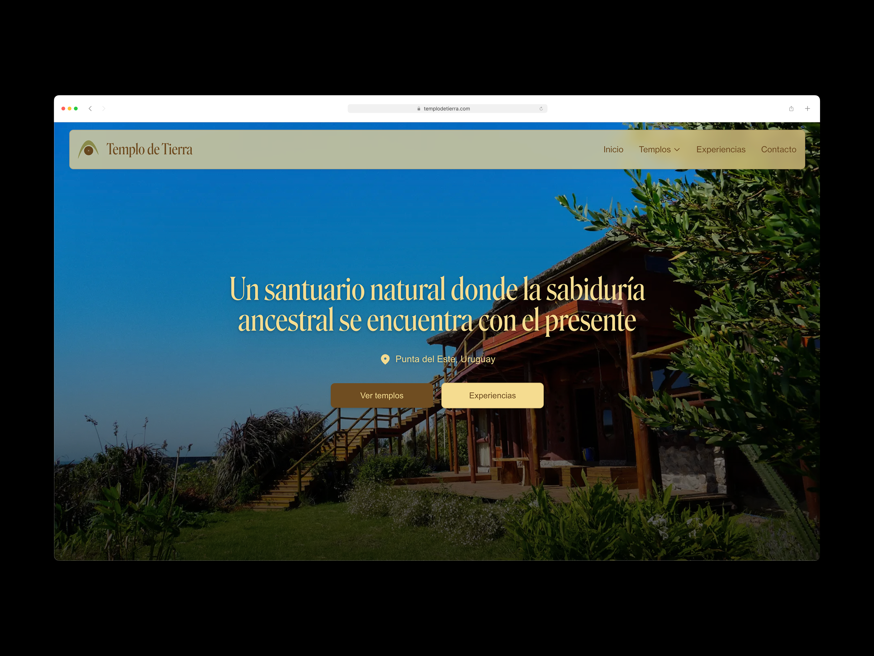 Templo de Tierra — Website Hero app branding design graphic design illustration logo ui uxui vector website