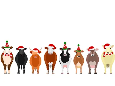 Christmas cows in a row animal cartoon christmas cow cute design graphic design illustration party santa hat
