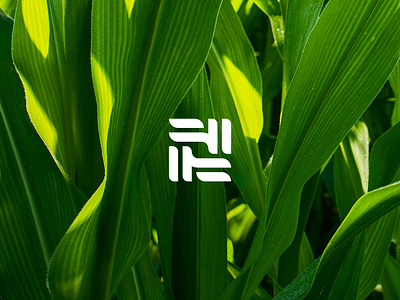 Agritourism Logo abstract agriculture agritourism brand company connection education geometric leaf link logo logo design modern nature plant
