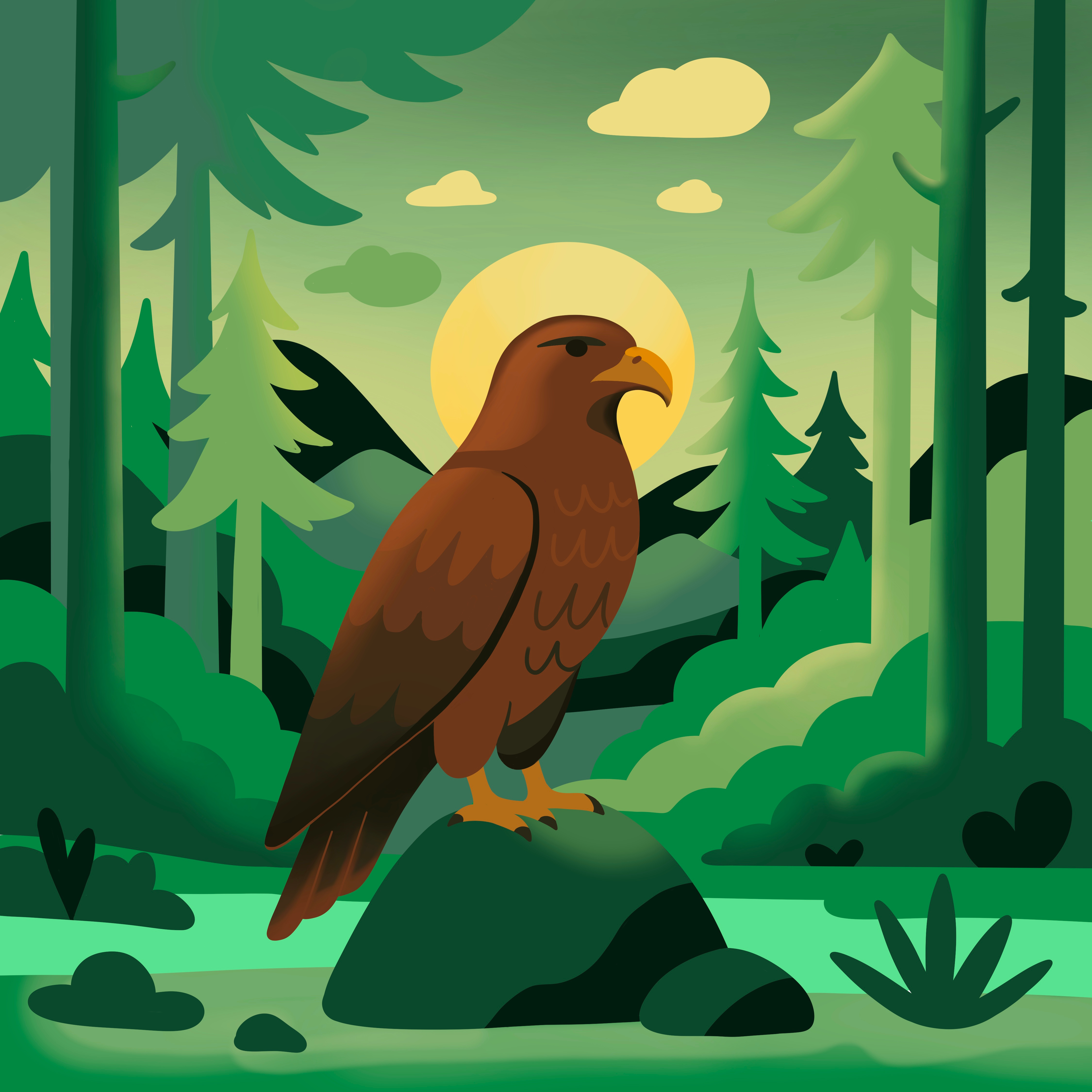 Hawk in woods landscape scene bird bird of prey birding book illustration digital illustration editorial editorial illustration forest geometric gradient hawk illustration landscape light nature outdoors scene soft trees woods