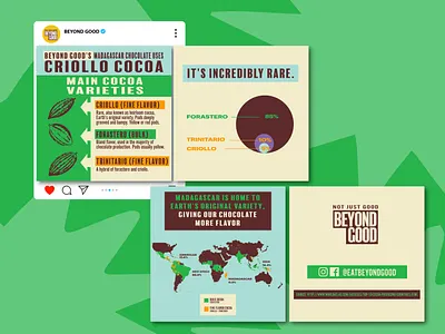 Infographic for Chocolate Brand chocolate cpg design info info card info graphic sustainable