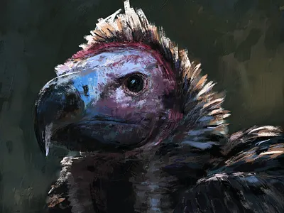 Bird animal art bird digital art digital painting drawing illustration painting vulture