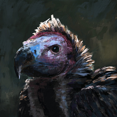 Bird animal art bird digital art digital painting drawing illustration painting vulture