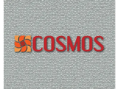 Typography Design clothing brand logo logo logo design poster design typography design