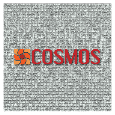 Typography Design clothing brand logo logo logo design poster design typography design