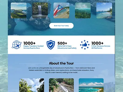 Squarespace Web Design for Puerto Rico Nature & Eco Tour Company branding design graphic design illustration logocreation squarespace squarespaceexpert squarespacewebdesign ui webdesign