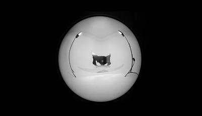 BRKN | clothing brand | brand identity brand branding clothing design goth graphic design logo minimal visual identity