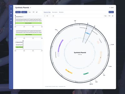 Multi-track circular plasmid map with linear sequence inspector biology data visualization laboratory molecular plasmid product design science scientific ui ux
