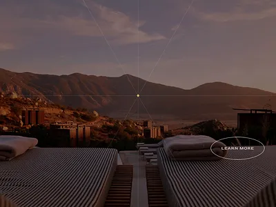 Bioreset Medical — Visual Identity & Landing Page brandbook branddesign branding design interface logo ui visualidentity