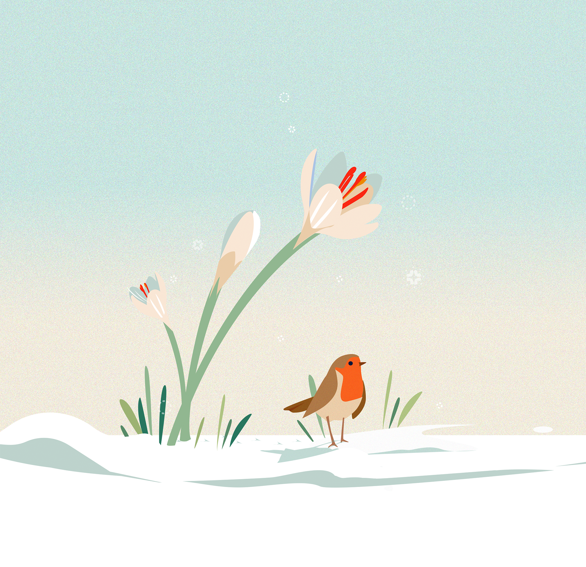 Illustration - Winter Terrarium bird book card children christmas christmas card crocus editorial flower garden greating hiver illustration landscape nature robin snow terrarium winter winter season