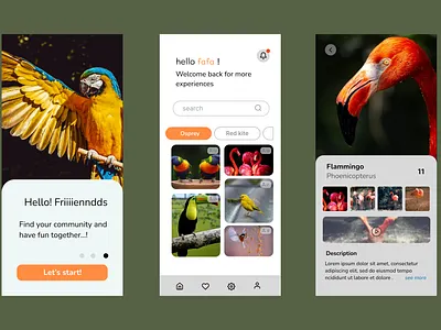 Bird watchers app bird dailyuichallenge design illustration interfacedesign mobileapp ui ux