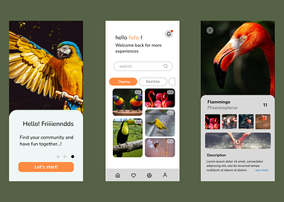 Bird watchers app bird dailyuichallenge design illustration interfacedesign mobileapp ui ux