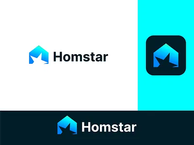 home star logo best logo brand identity branding home homstar house logo branding logo designer logo desk logos star visual identity design