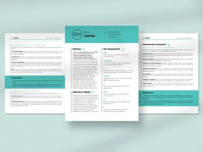 Resume Design brand branding cv design digital digital art ebook ebook design educational graphic design identity branding layout minimal modern resume resume design ui